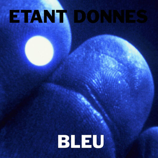 Cover of vinyl record BLEU by artist ETANT DONNES