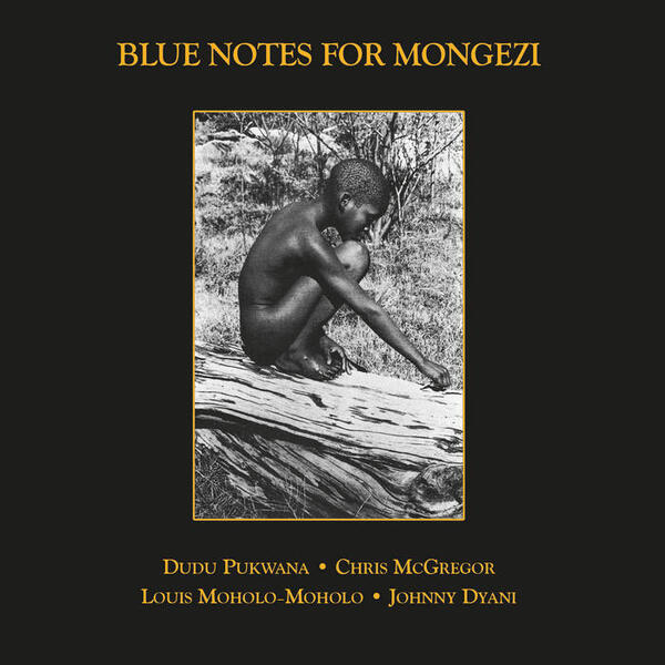 Cover of vinyl record BLUE NOTES FOR MONGEZI by artist BLUE NOTES