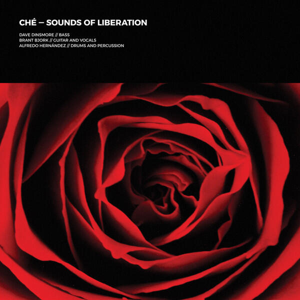 Cover of vinyl record SOUNDS OF LIBERATION by artist CHE