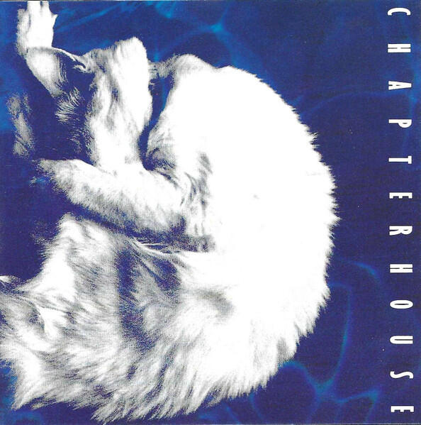 Cover of vinyl record WHIRLPOOL by artist CHAPTERHOUSE