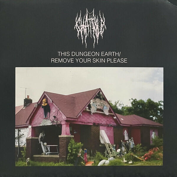 Cover of vinyl record THIS DUNGEON EARTH/ REMOVE YOUR SKIN PLEASE by artist CHAT PILE