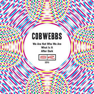 Cover of vinyl record WE ARE NOT WHO WE ARE / WHAT IS IT / AFTER DARK by artist COBWEBBS