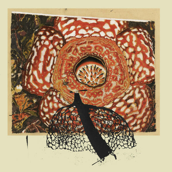 Cover of vinyl record RAINBOW DE NUIT by artist FENECH, DAVID & KLIMPEREI