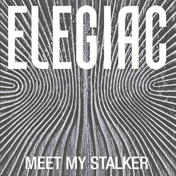 Cover of vinyl record MEET MY STALKER by artist ELEGIAC