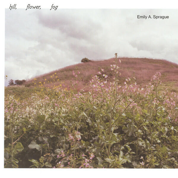 Cover of vinyl record HILL, FLOWER, FOG by artist SPRAGUE, EMILY A.