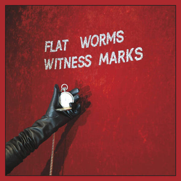 Cover of vinyl record WITNESS MARKS by artist FLAT WORMS