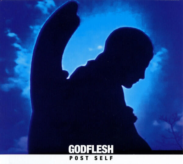 Cover of vinyl record POST SELF by artist GODFLESH