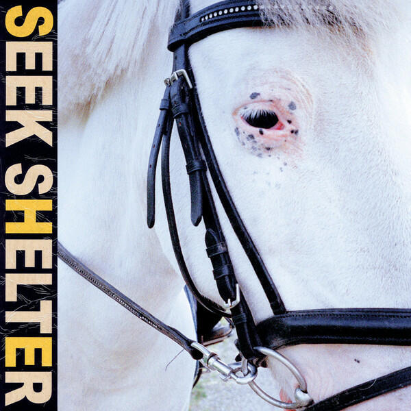Cover of vinyl record SEEK SHELTER by artist ICEAGE