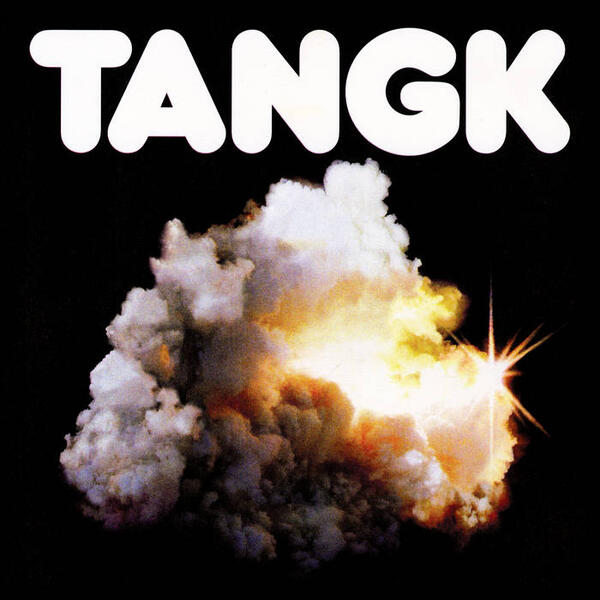 Cover of vinyl record TANGK by artist IDLES