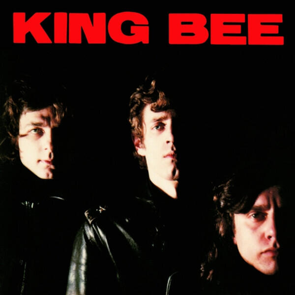 Cover of vinyl record KING BEE by artist KING BEE