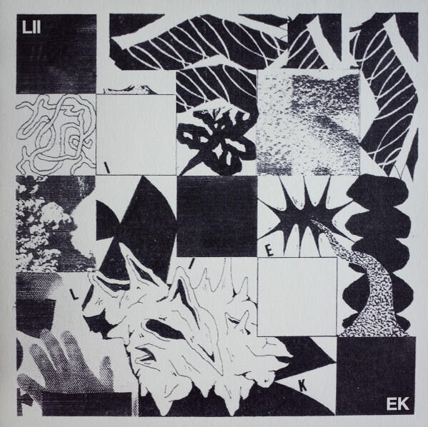 Cover of vinyl record LIIEK by artist LIIEK