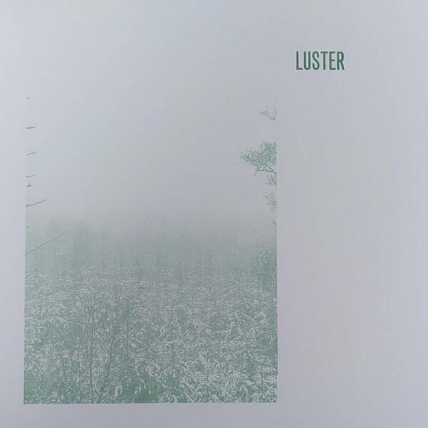 Cover of vinyl record LUSTER by artist LUSTER