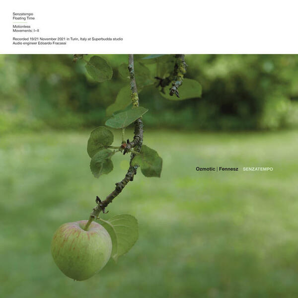 Cover of vinyl record SENZATEMPO by artist OZMOTIC / FENNESZ