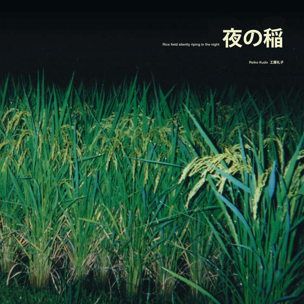 Cover of vinyl record RICE FIELD SILENTLY RIPING IN THE NIGHT by artist KUDO, REIKI