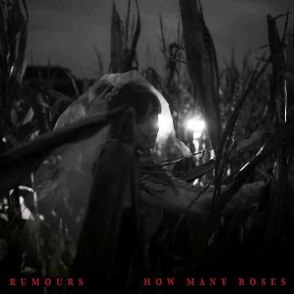 Cover of vinyl record HOW MANY ROSES by artist RUMOURS