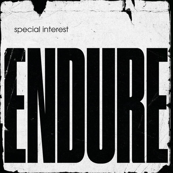 Cover of vinyl record ENDURE by artist SPECIAL INTEREST