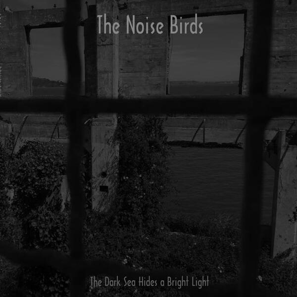 Cover of vinyl record DARK SEA HIDES A BRIGHT LIGHT by artist NOISE BIRDS