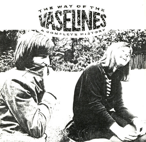 Cover of vinyl record THE WAY OF THE VASELINES - A COMPLETE HISTORY by artist VASELINES