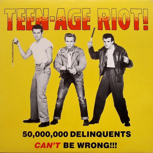 Cover of vinyl record Teen-Age Riot! - 50,000,000 Delinquents Can't Be Wrong!!! by artist VARIOUS ARTISTS