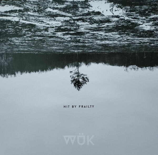 Cover of vinyl record HIT BY FRAILTY by artist WUK