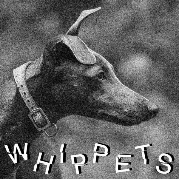 Cover of vinyl record WHIPPETS by artist WHIPPETS