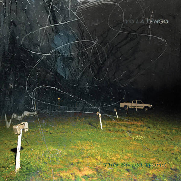 Cover of vinyl record THIS STUPID WORLD by artist YO LA TENGO