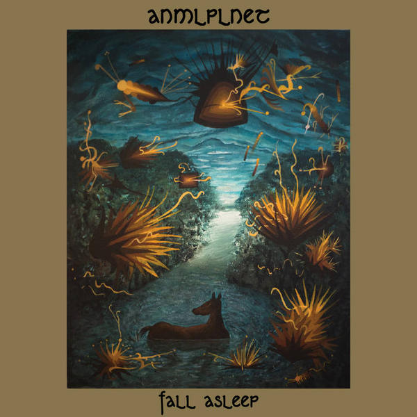 Cover of vinyl record FALL ASLEEP by artist ANMLPLNET