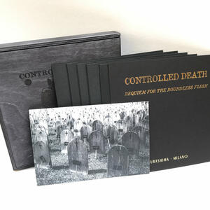 Cover of vinyl record Requiem For The Boundless Flesh by artist 
