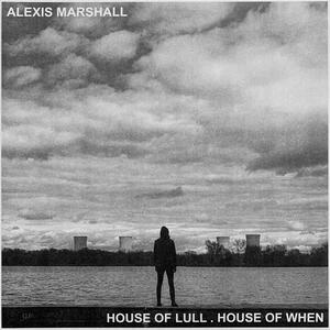 Cover of vinyl record HOUOSE OF LULL; HOUSE OF WHEN by artist 