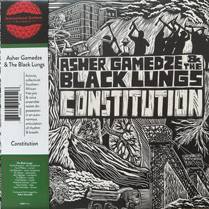 Cover of vinyl record CONSTITUTION by artist 