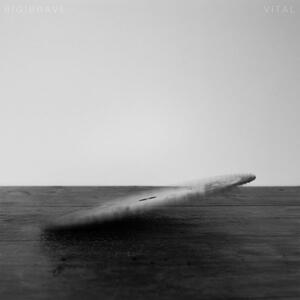 Cover of vinyl record VITAL by artist 