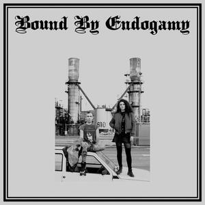 Cover of vinyl record BOUND BY ENDOGAMY by artist 