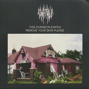 Cover of vinyl record THIS DUNGEON EARTH/ REMOVE YOUR SKIN PLEASE by artist 
