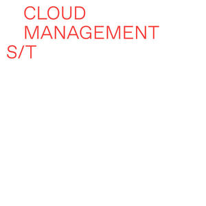 Cover of vinyl record CLOUD MANAGEMENT by artist 