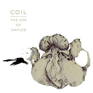 Cover of vinyl record THE APE OF NAPLES by artist 