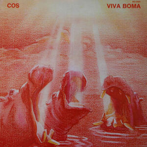 Cover of vinyl record VIVA BOMA by artist 