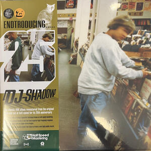 Cover of vinyl record ENDTRODUCING by artist 