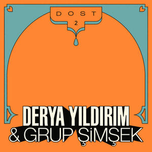 Cover of vinyl record DOST 2 by artist 