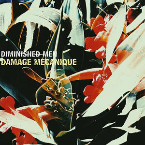 Cover of vinyl record DAMAGE MECANIQUE by artist 