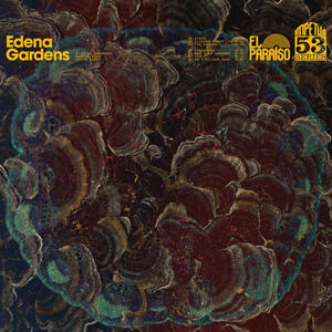 Cover of vinyl record EDENA GARDENS by artist 