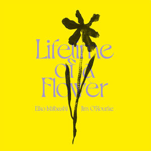 Cover of vinyl record LIFETIME OF A FLOWER by artist 