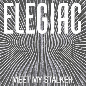 Cover of vinyl record MEET MY STALKER by artist 