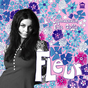 Cover of vinyl record LE CAPHARNAUM / FAIS GAFFE by artist 
