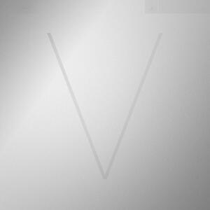 Cover of vinyl record V by artist 