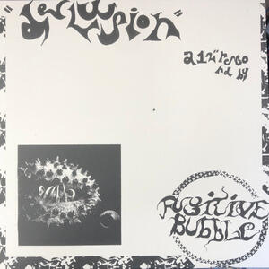 Cover of vinyl record Delusion by artist 