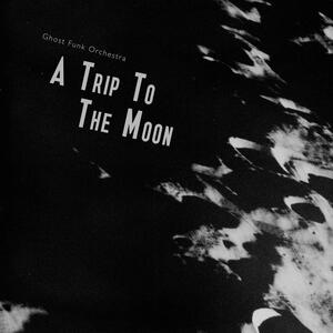 Cover of vinyl record A TRIP TO THE MOON by artist 