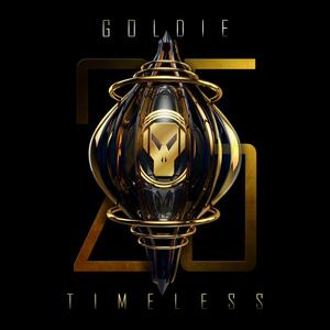 Cover of vinyl record TIMELESS - (25TH ANNIVERSARY EDITION) by artist 