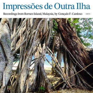 Cover of vinyl record IMPRESSOES DE OUTRA ILHA (BORNEO) by artist 