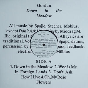 Cover of vinyl record DOWN IN THE MEADOW by artist 