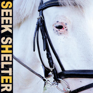 Cover of vinyl record SEEK SHELTER by artist 